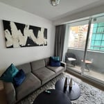 Rental of a cozy 2-room apartment, 50 m², Palermo Nuevo, Buenos Aires, Argentina